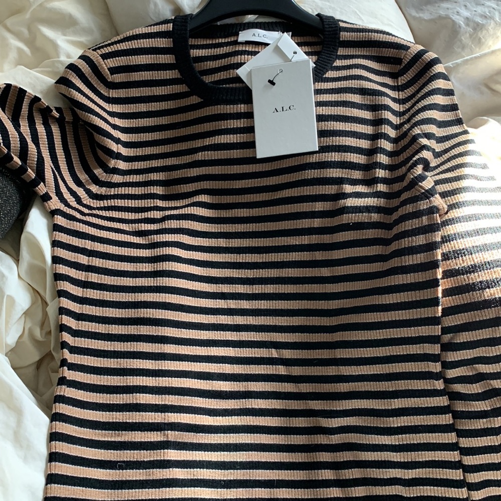 A.L.C. Merino Wool Knit Brown Multi Stripe